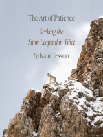 The_Art_of_Patience